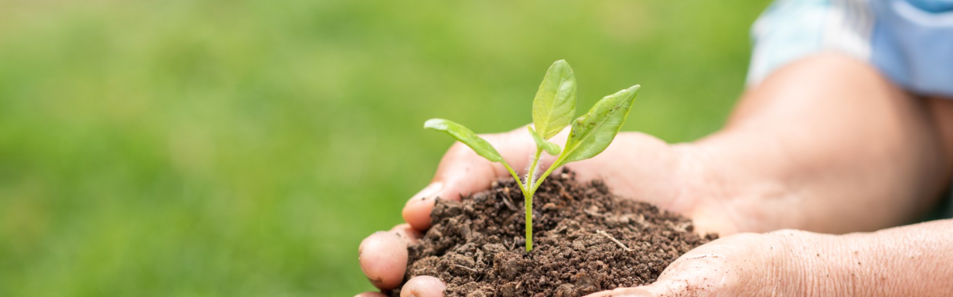 Banner da página Valorize o Agro
